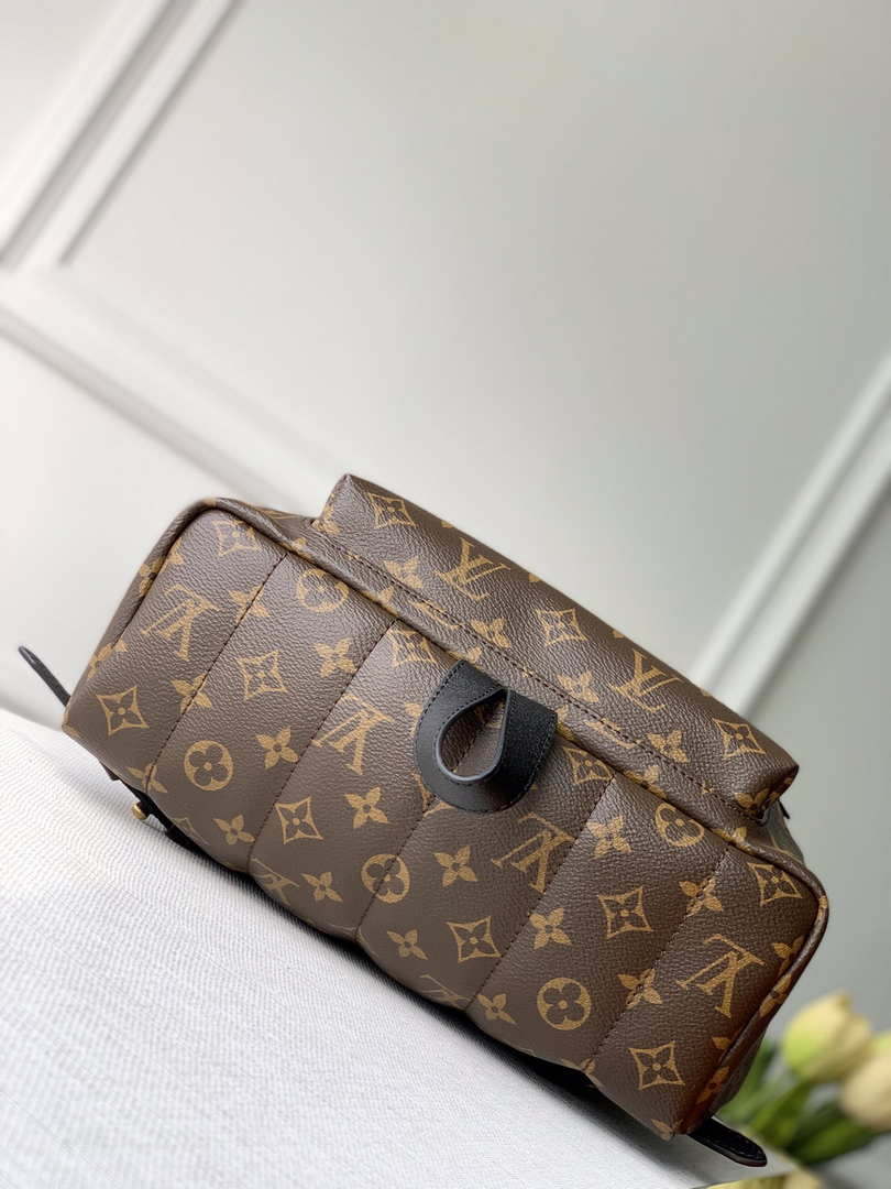LV M44874 Louis Vuitton Palm Springs MM Monogram Bag