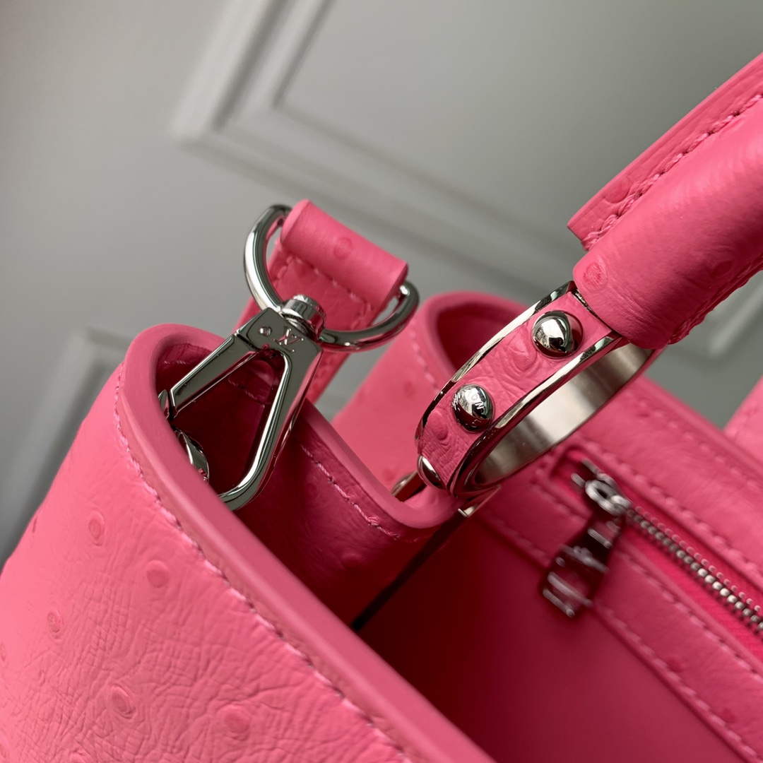 LV N81279 Louis Vuitton Capucines MM Handbag Plum