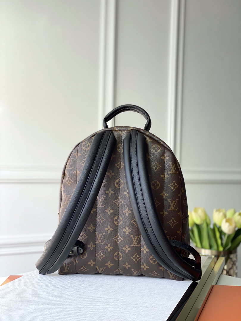 LV M44874 Louis Vuitton Palm Springs MM Monogram Bag
