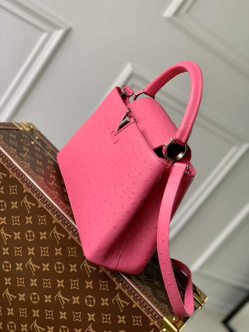 LV N81279 Louis Vuitton Capucines MM Handbag Plum