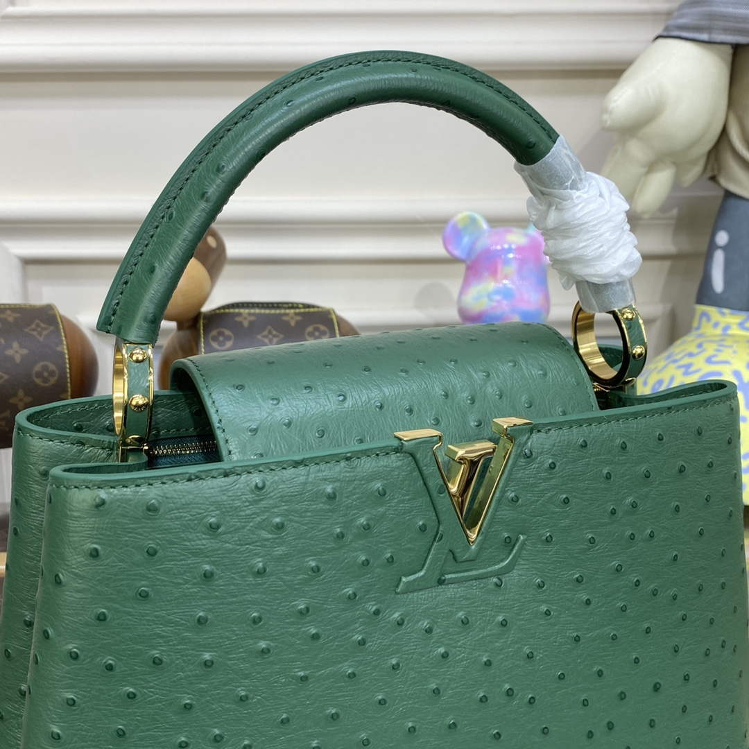 LV N93075 Louis Vuitton Capucines MM Handbag Mint Green