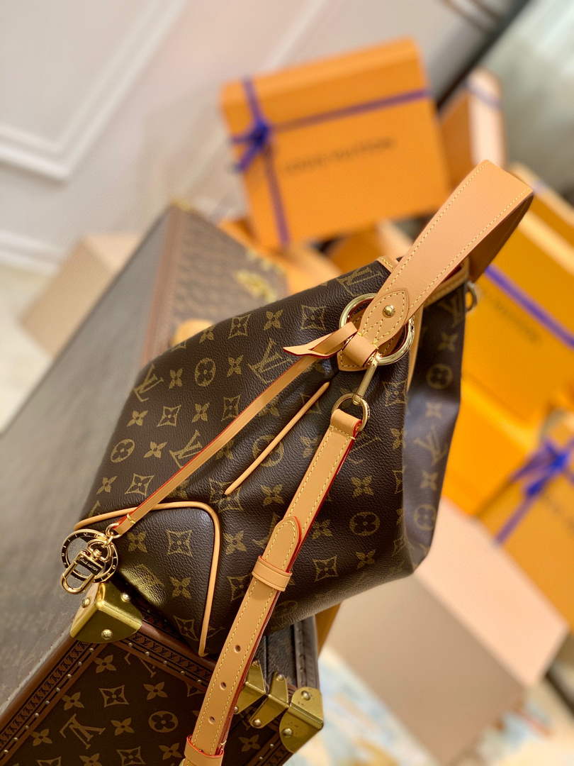 LV M50155 LouisVuitton Delightful PM Monogram Canvas