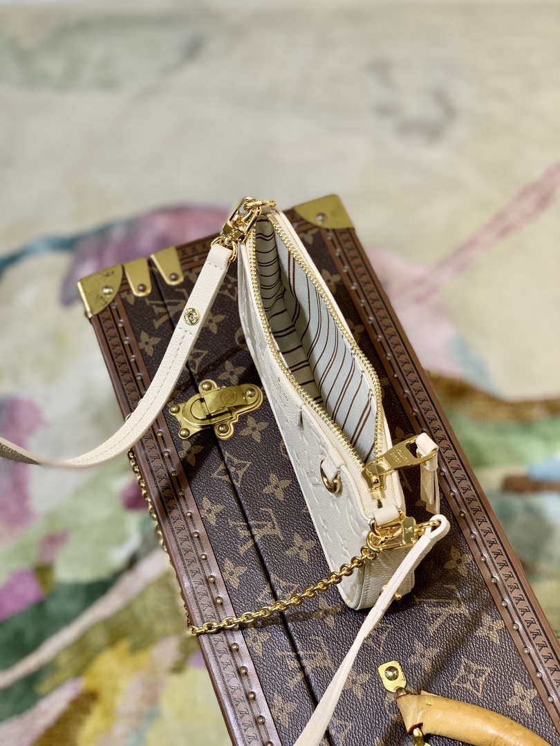 Louis Vuitton M81066 LV Easy Pouch ON Strap Monogram Bag