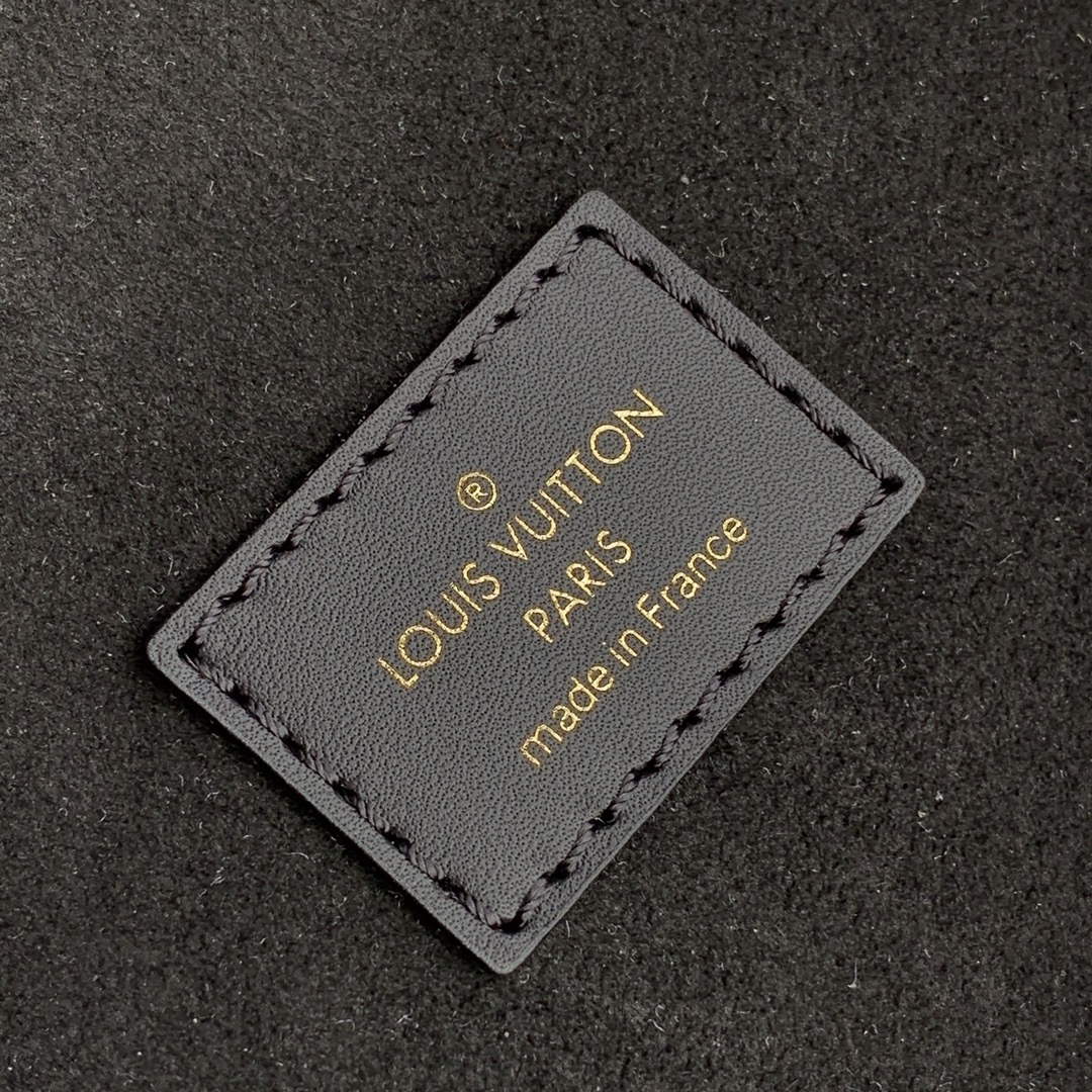 LV M45205 Louis Vuitton Montsouris Backpack Black