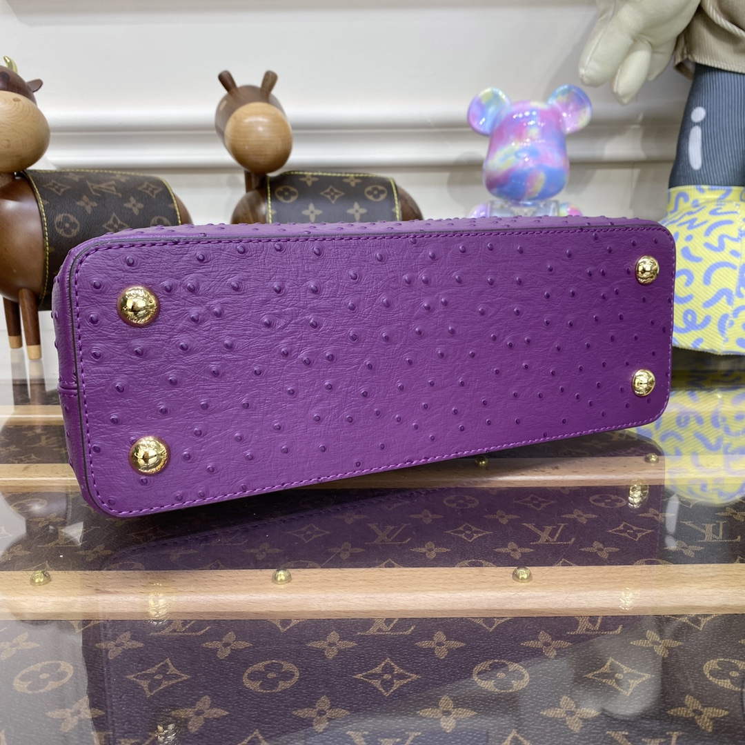 LV N81279 Louis Vuitton Capucines MM Handbag Purple