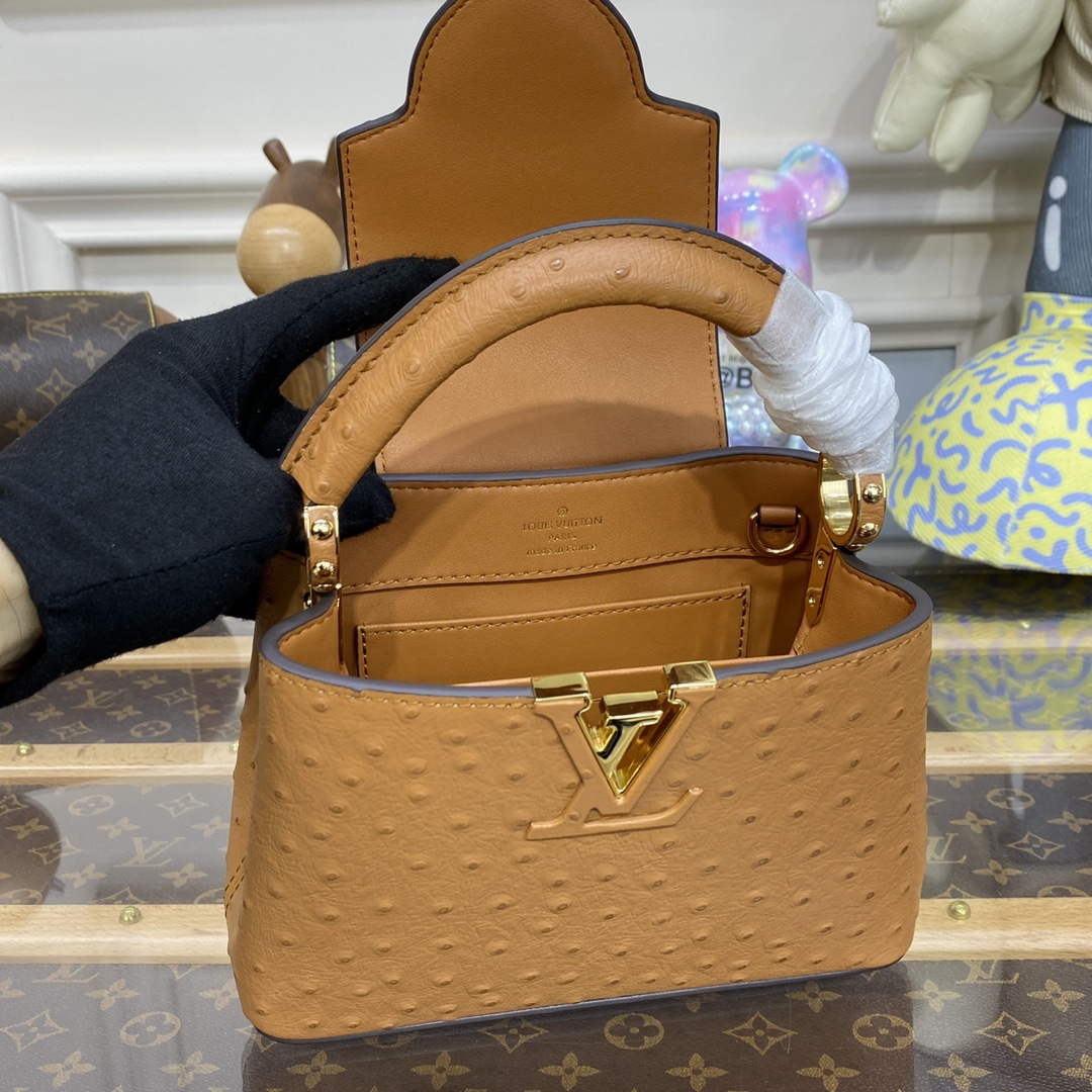 LV N81523 Louis Vuitton Capucines Mini Handbag Brown