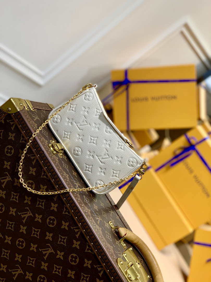 Louis Vuitton M81066 LV Easy Pouch ON Strap Monogram Bag