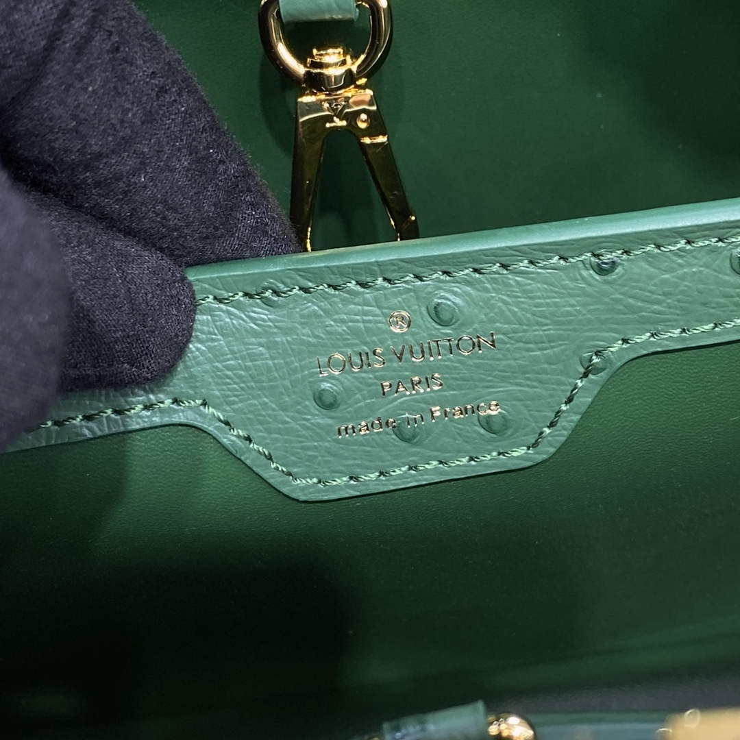 LV N93075 Louis Vuitton Capucines MM Handbag Mint Green