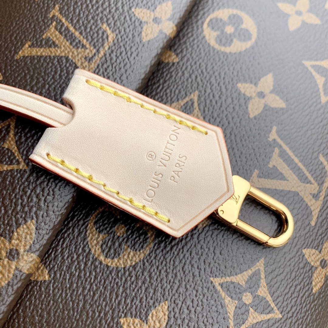 LV M46055 Louis Vuitton Cluny Mini Handbag
