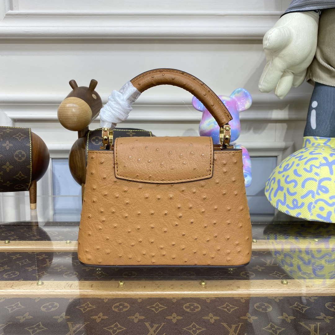 LV N81523 Louis Vuitton Capucines Mini Handbag Brown
