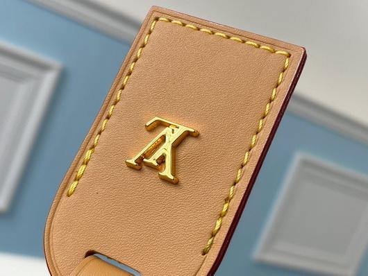 LV M45355 Louis Vuitton M45352 Odeon mm Crossbody Bag Natural