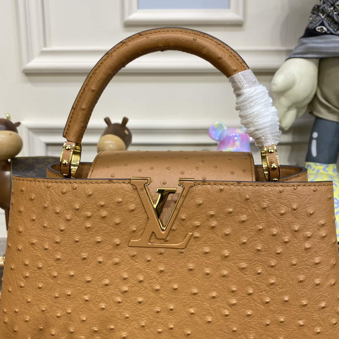 LV N81279 Louis Vuitton Capucines MM Handbag Brown