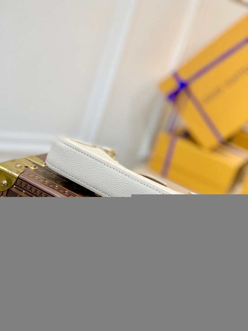 Louis Vuitton M81066 LV Easy Pouch ON Strap Monogram Bag