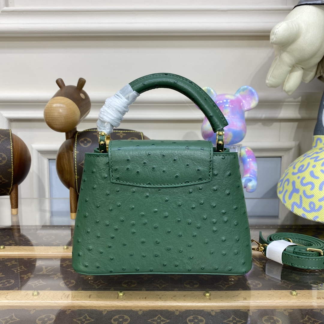 LV N93075 Louis Vuitton Capucines Mini Handbag Mint Green