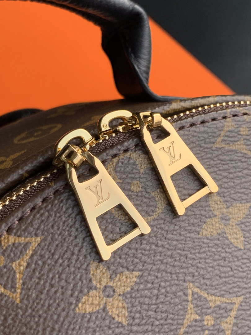 LV M44874 Louis Vuitton Palm Springs MM Monogram Bag