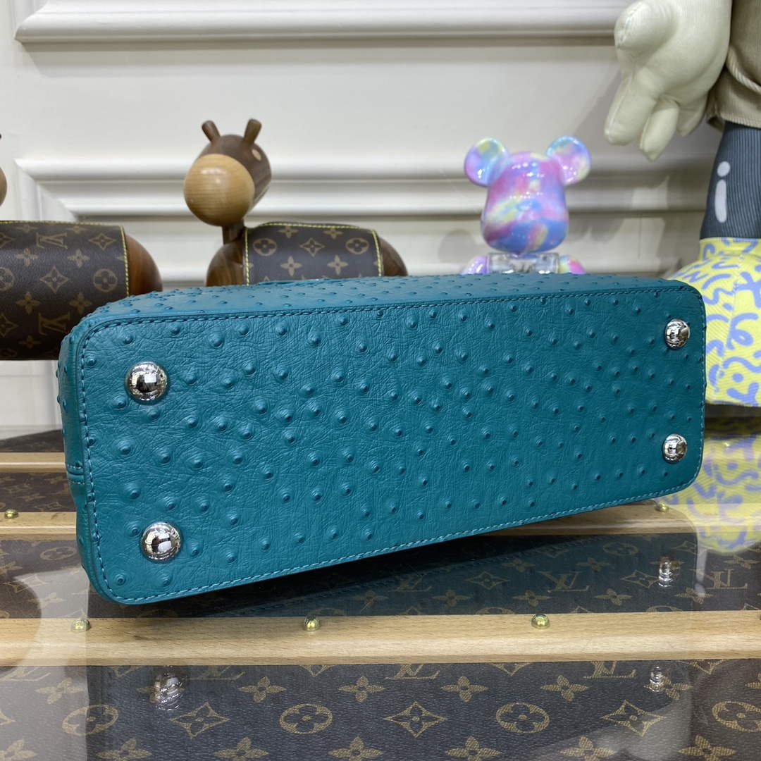 LV N81279 Louis Vuitton Capucines MM Handbag Lake blue