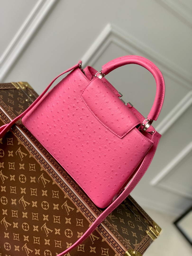 LV N81523 Louis Vuitton Capucines BB Handbag Plum