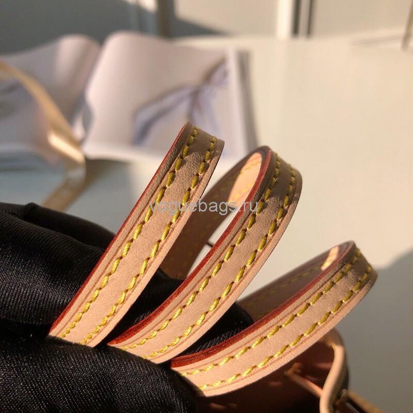 LV M41346 Louis Vuitton Nano Noe Monogram Bag