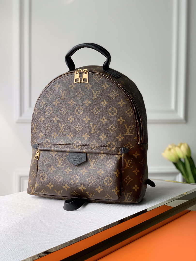 LV M44874 Louis Vuitton Palm Springs MM Monogram Bag