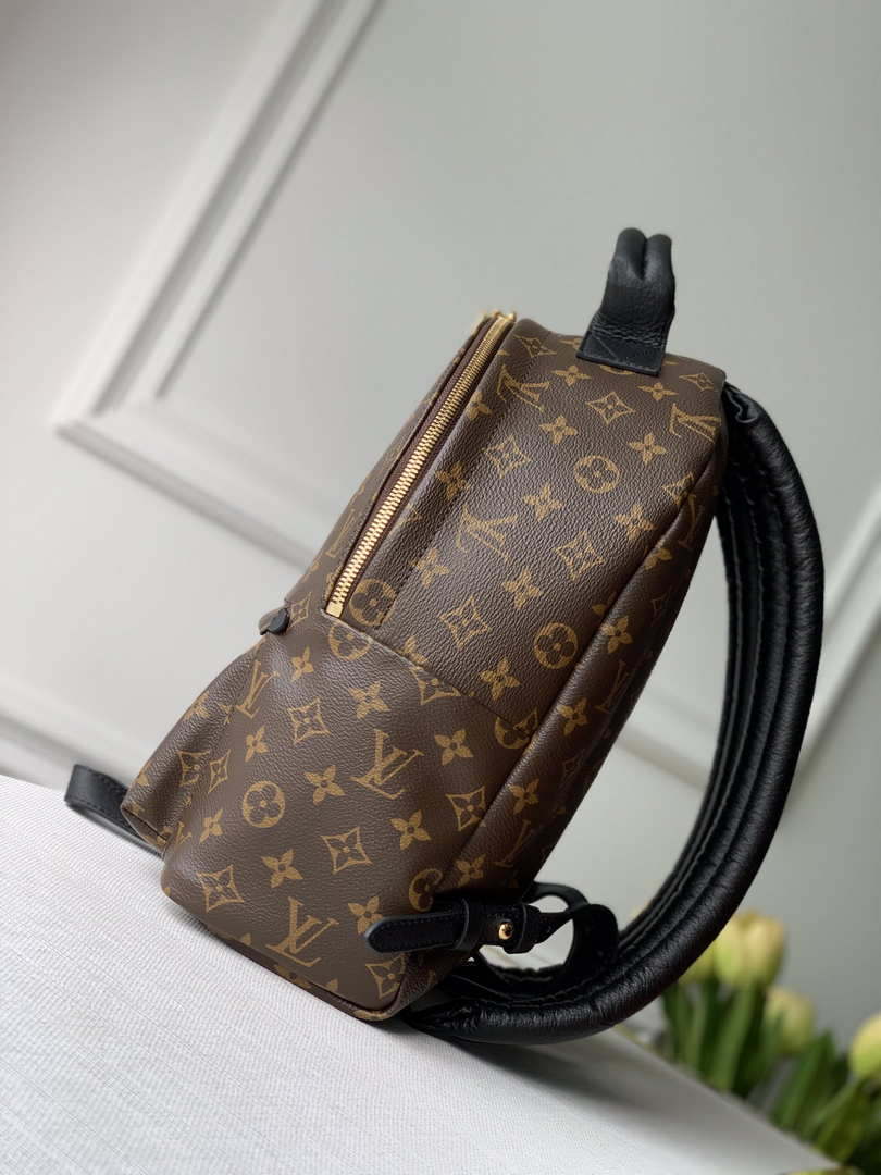 LV M44874 Louis Vuitton Palm Springs MM Monogram Bag