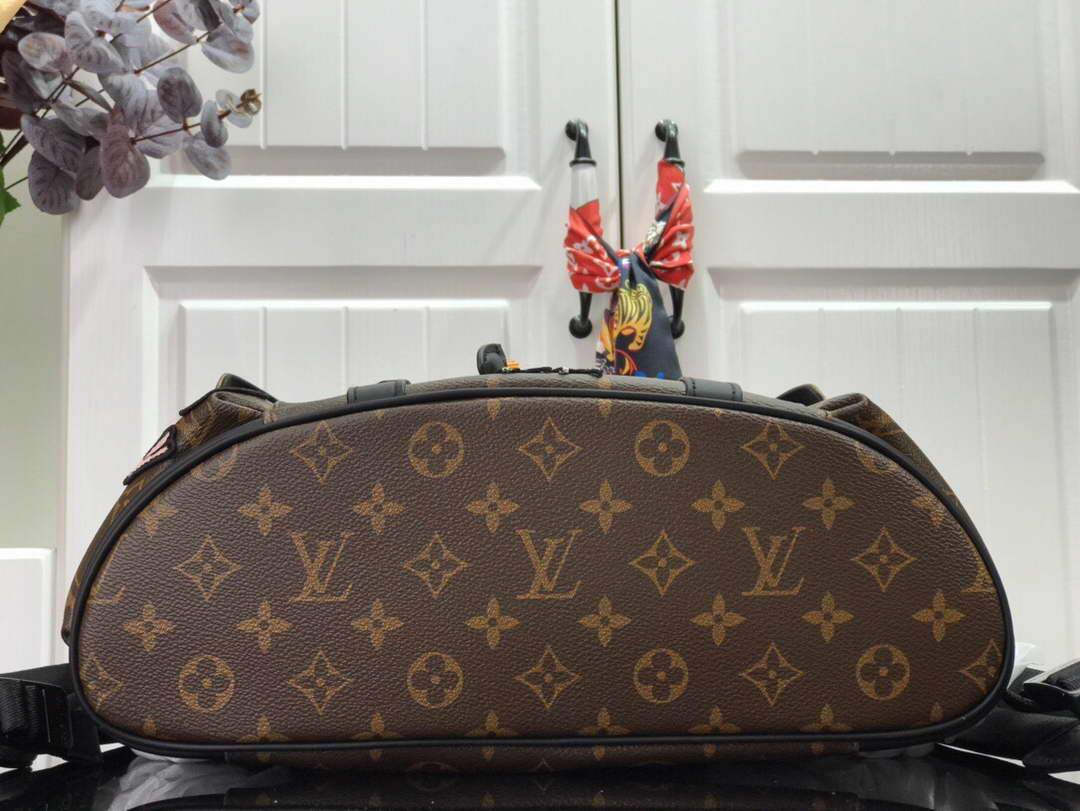 LV M45617 Louis Vuitton Backpack Christopher PM Monogram Coated Canvas