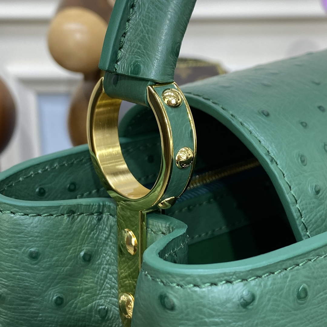 LV N93075 Louis Vuitton Capucines MM Handbag Mint Green