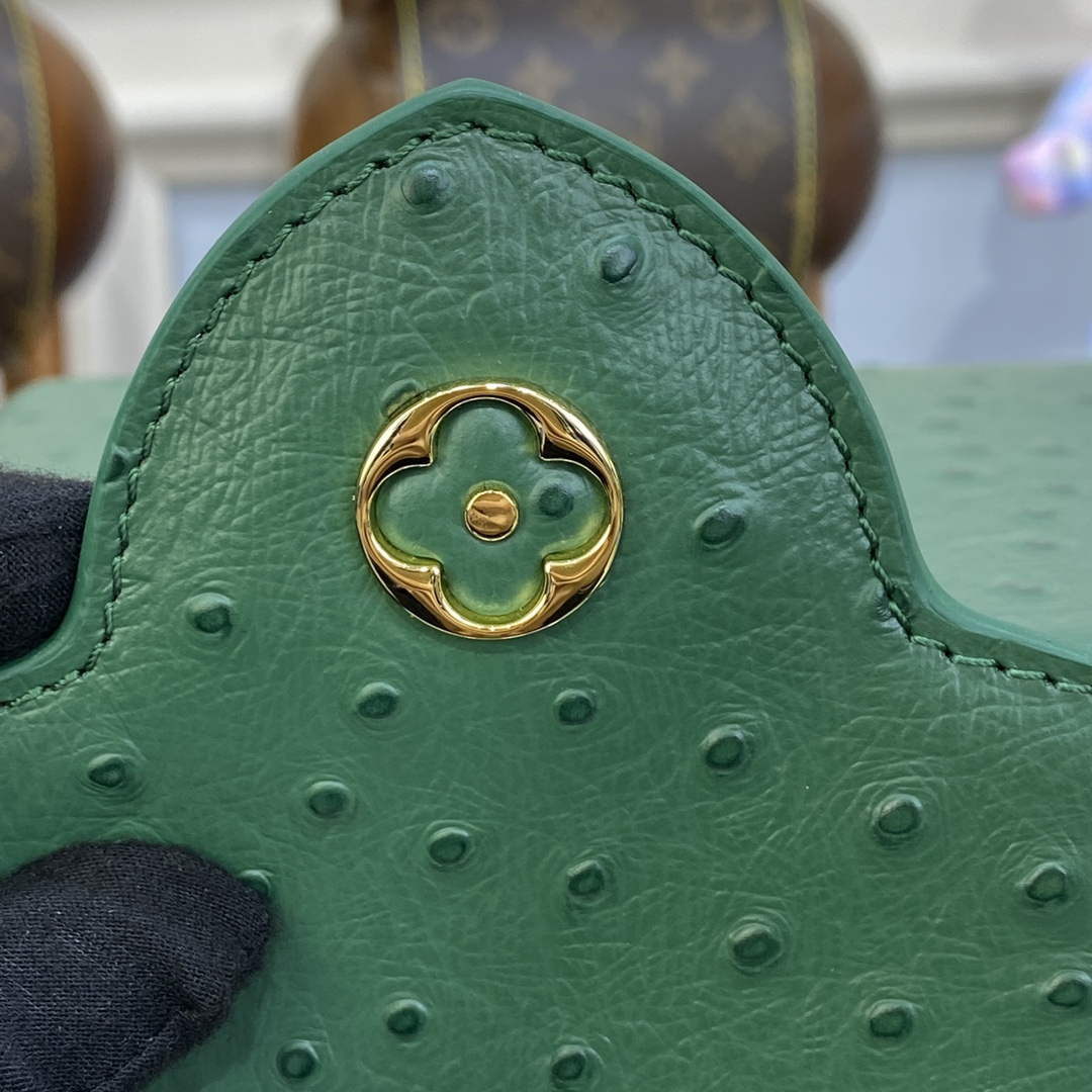 LV N93075 Louis Vuitton Capucines Mini Handbag Mint Green