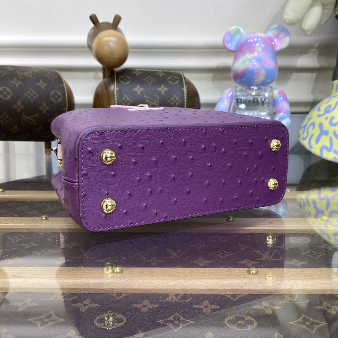 LV N81523 Louis Vuitton Capucines Mini Handbag Purple