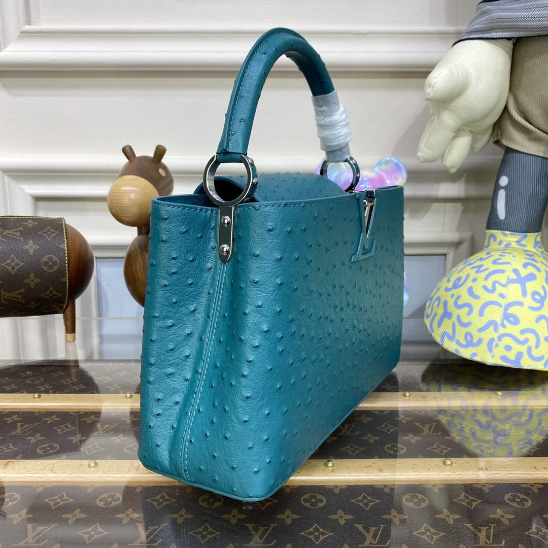 LV N81279 Louis Vuitton Capucines MM Handbag Lake blue