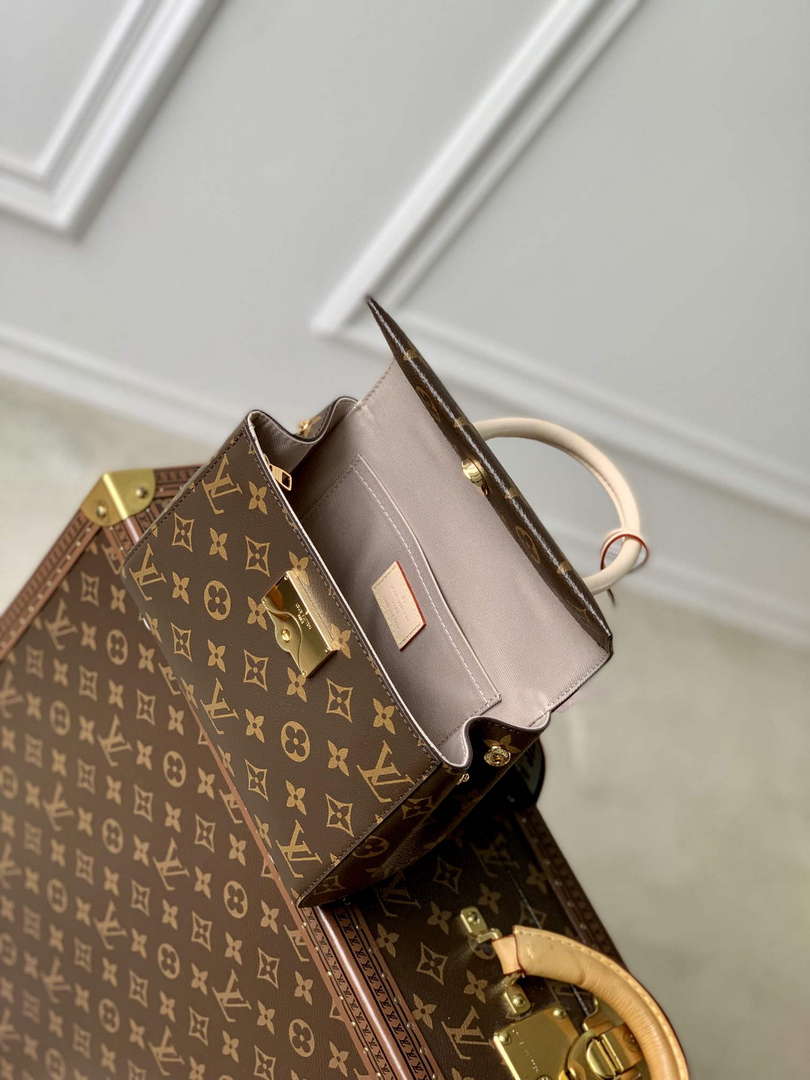LV M46055 Louis Vuitton Cluny Mini Handbag