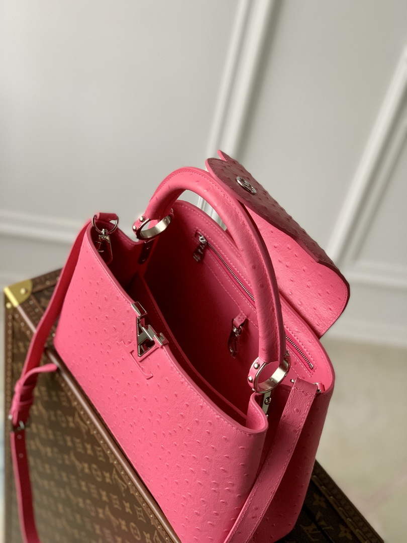 LV N81279 Louis Vuitton Capucines MM Handbag Plum