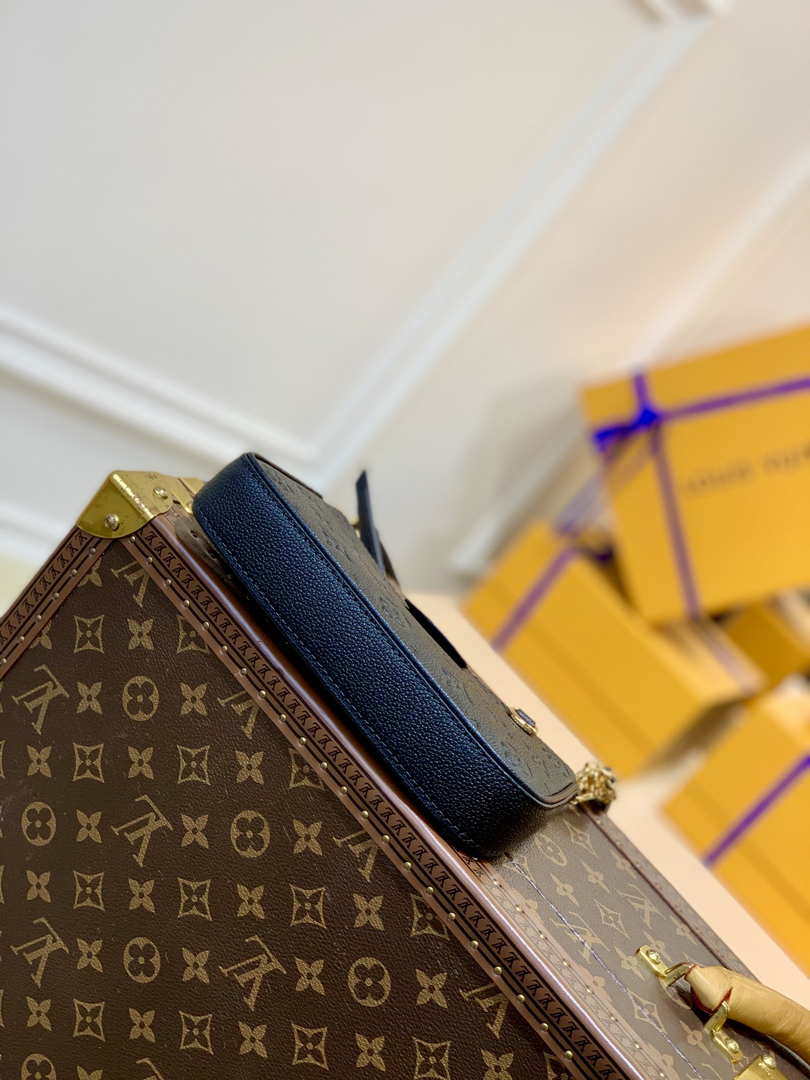 Louis Vuitton M80349 LV Easy Pouch ON Strap Monogram Bag