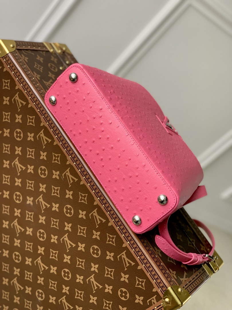 LV N81523 Louis Vuitton Capucines BB Handbag Plum