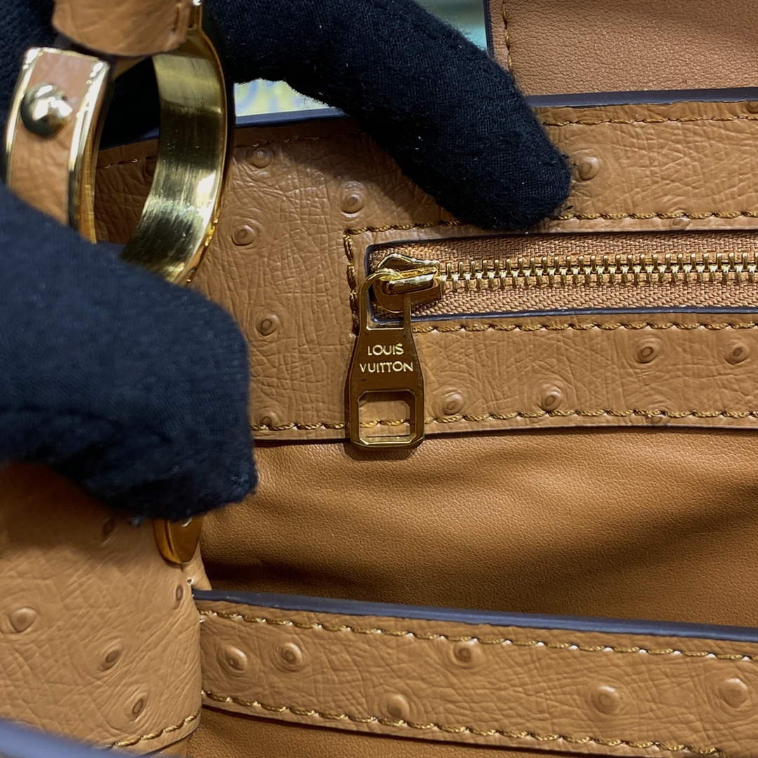 LV N81279 Louis Vuitton Capucines MM Handbag Brown