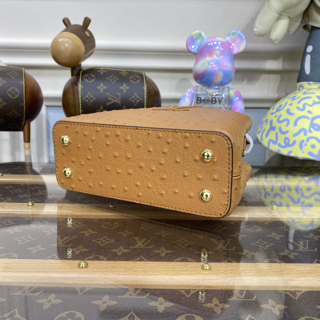 LV N81523 Louis Vuitton Capucines Mini Handbag Brown