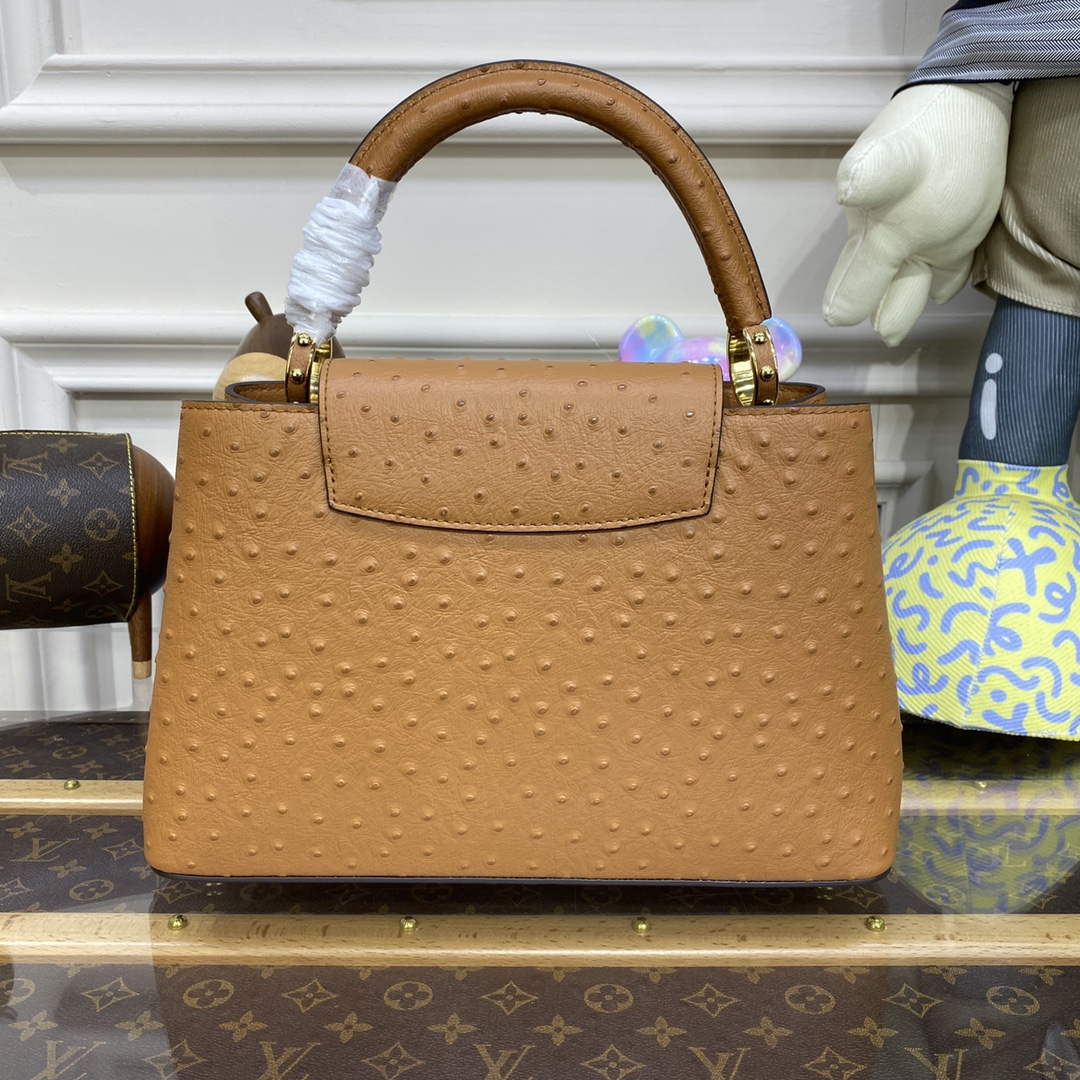 LV N81279 Louis Vuitton Capucines MM Handbag Brown