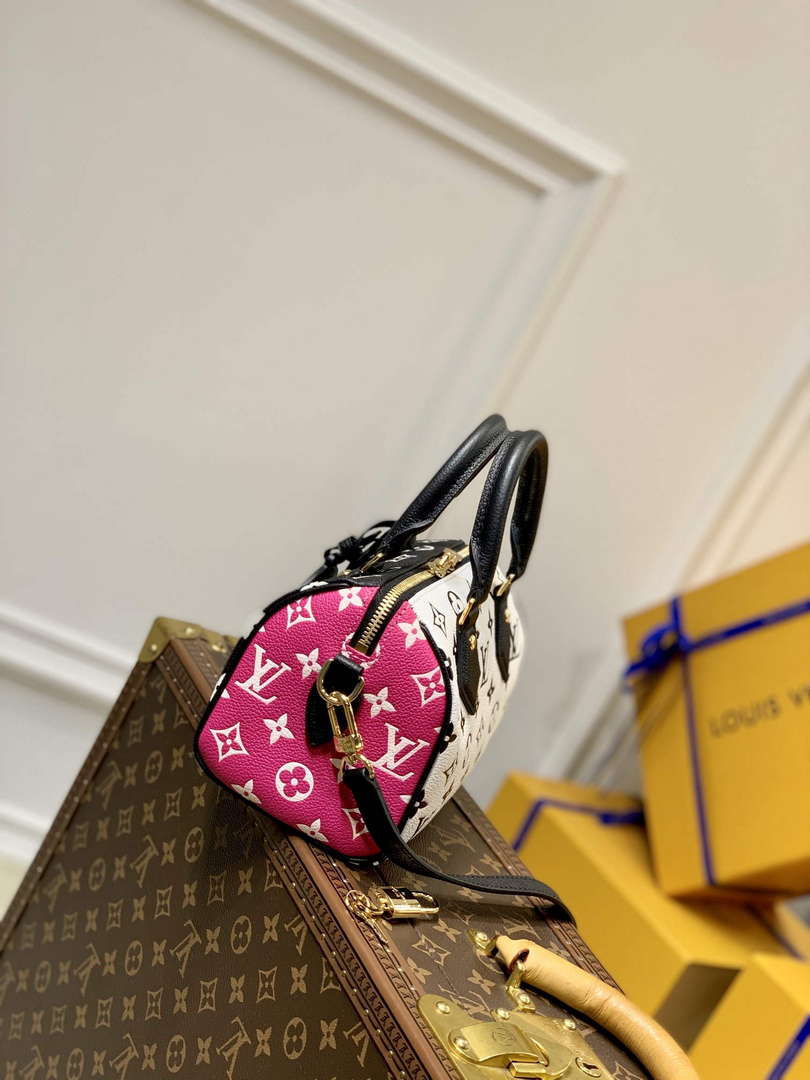 LV M46088 Louis Vuitton Speedy Bandouli��re 20 Bag