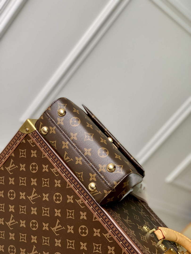 LV M46055 Louis Vuitton Cluny Mini Handbag