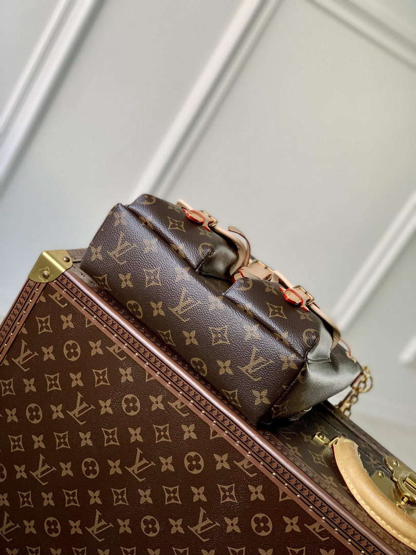 Louis Vuitton LV M46932 Excursion PM Backpack Monogram