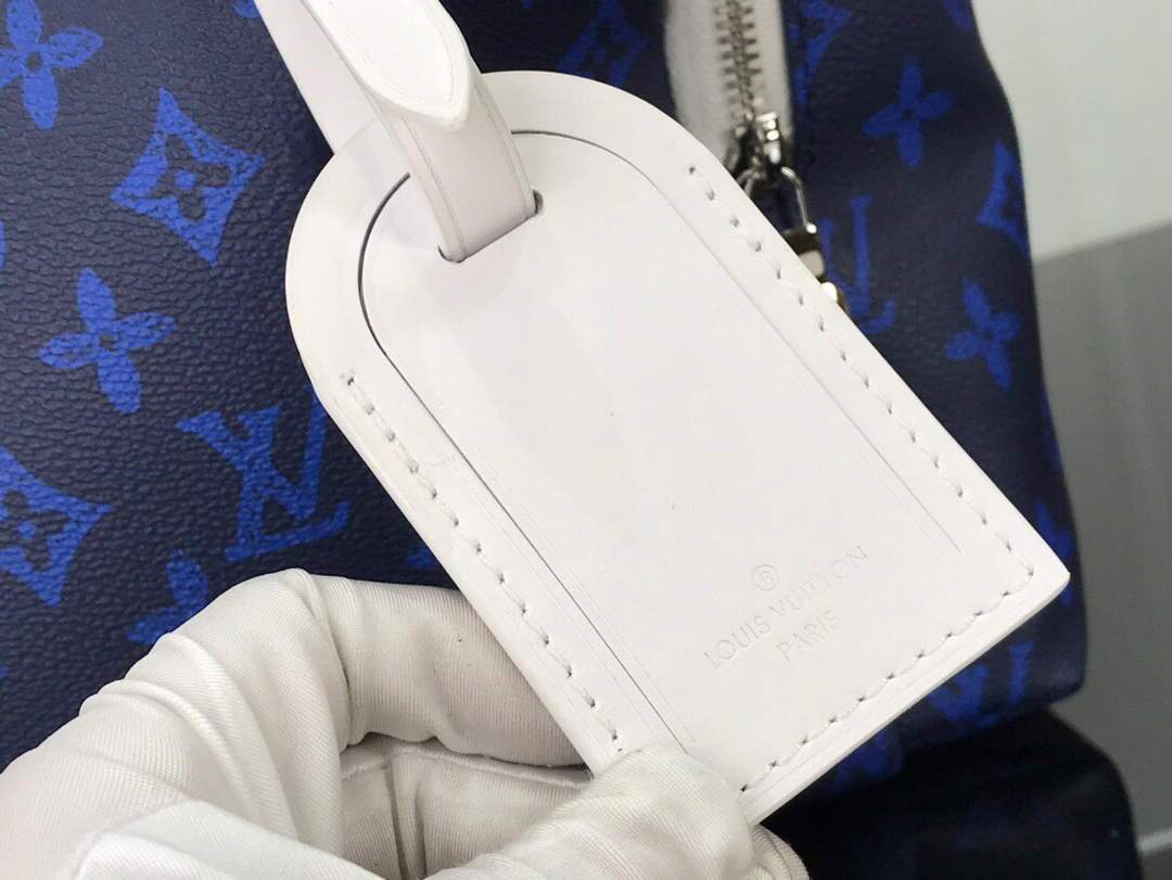 LV M46118 Louis Vuitton Apollo Backpack Blue