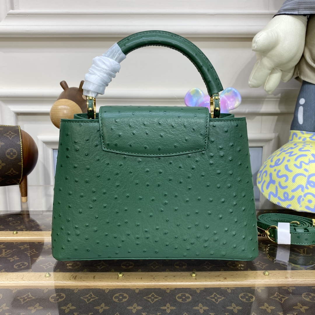 LV N93075 Louis Vuitton Capucines BB Handbag Mint Green