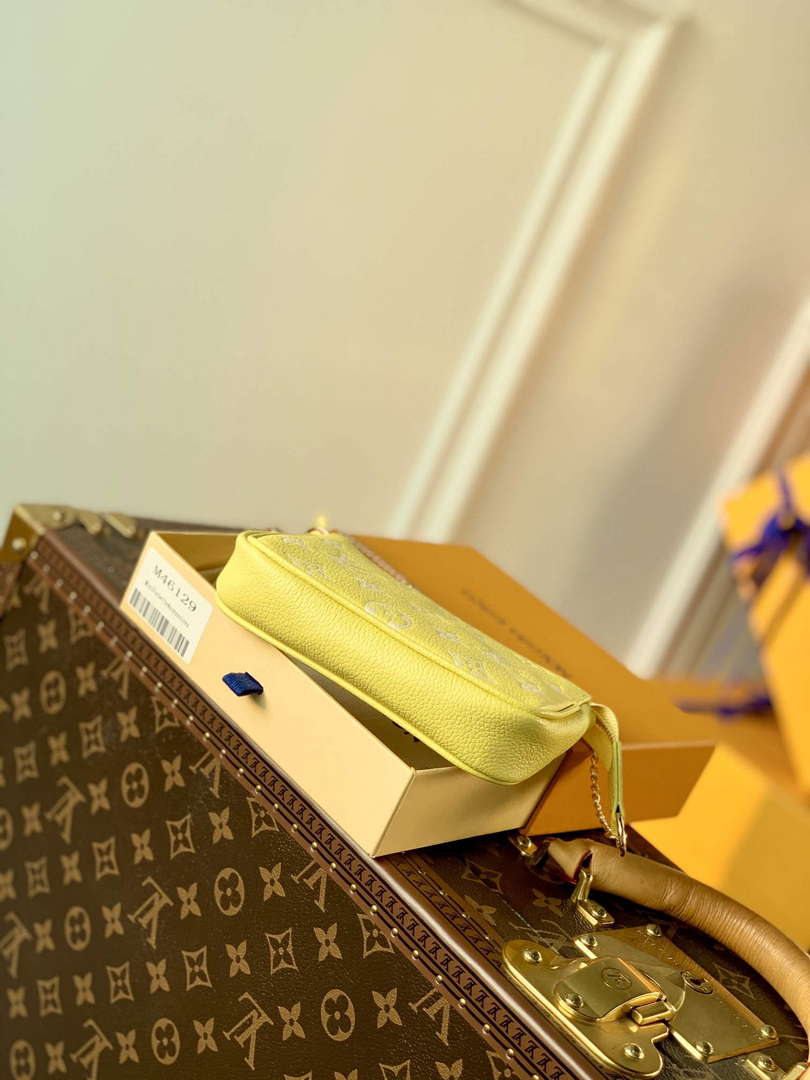 LV M46129 Louis Vuitton Mini Pochette Accessoires