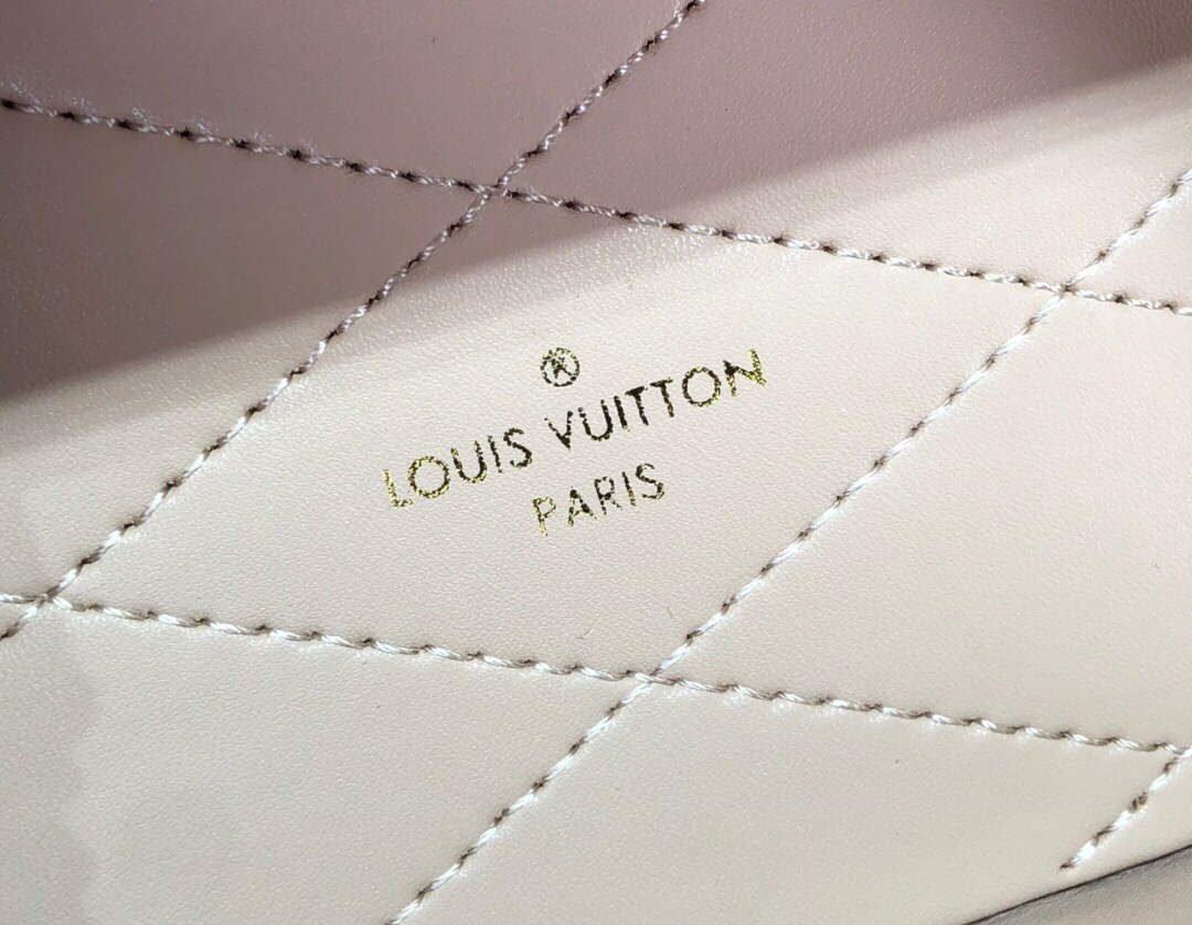 LV M10077 Louis Vuitton Camera Box