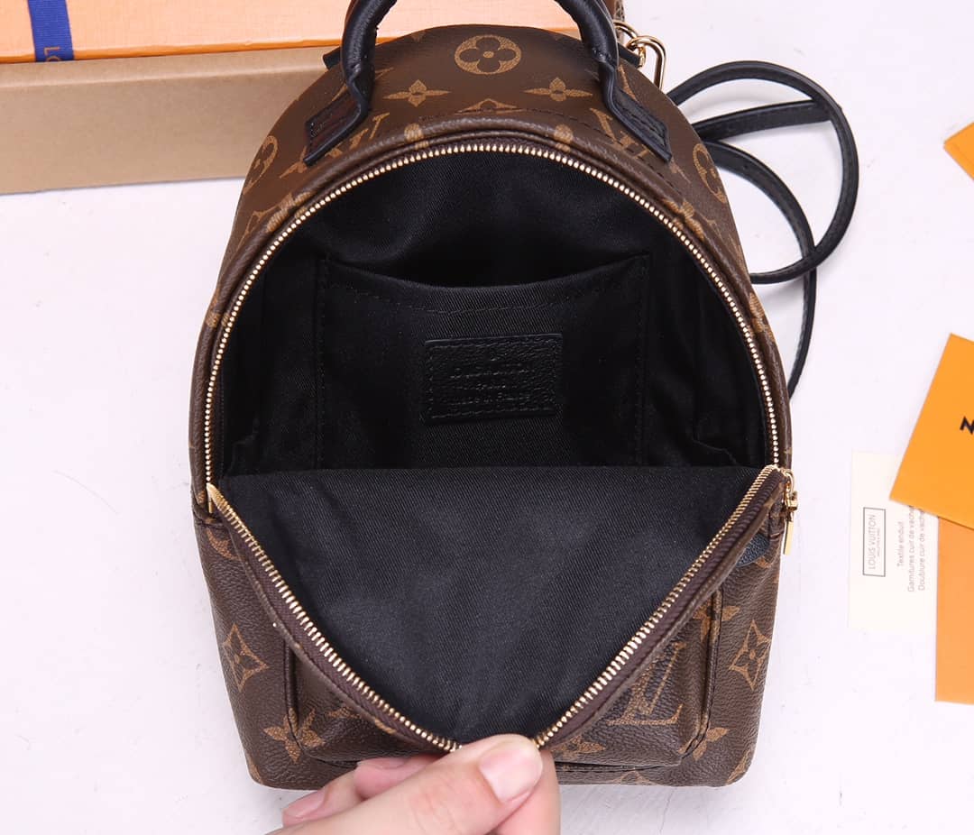 LV Backpack Replica Palm Springs Mini Brown M44873