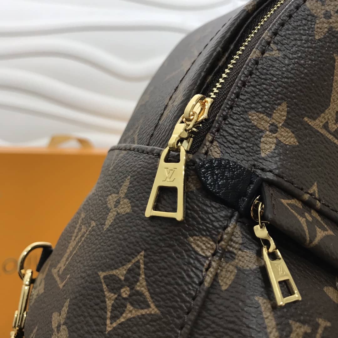Louis Vuitton Palm Springs Mini Replica Backpack Brown M44873