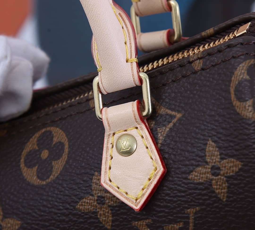 Louis Vuitton Nano Speedy Monogram Canvas M61252