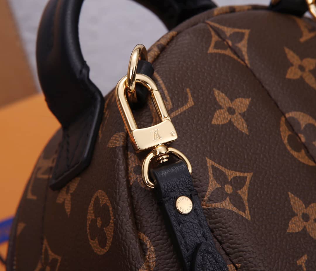 LV Backpack Replica Palm Springs Mini Brown M44873