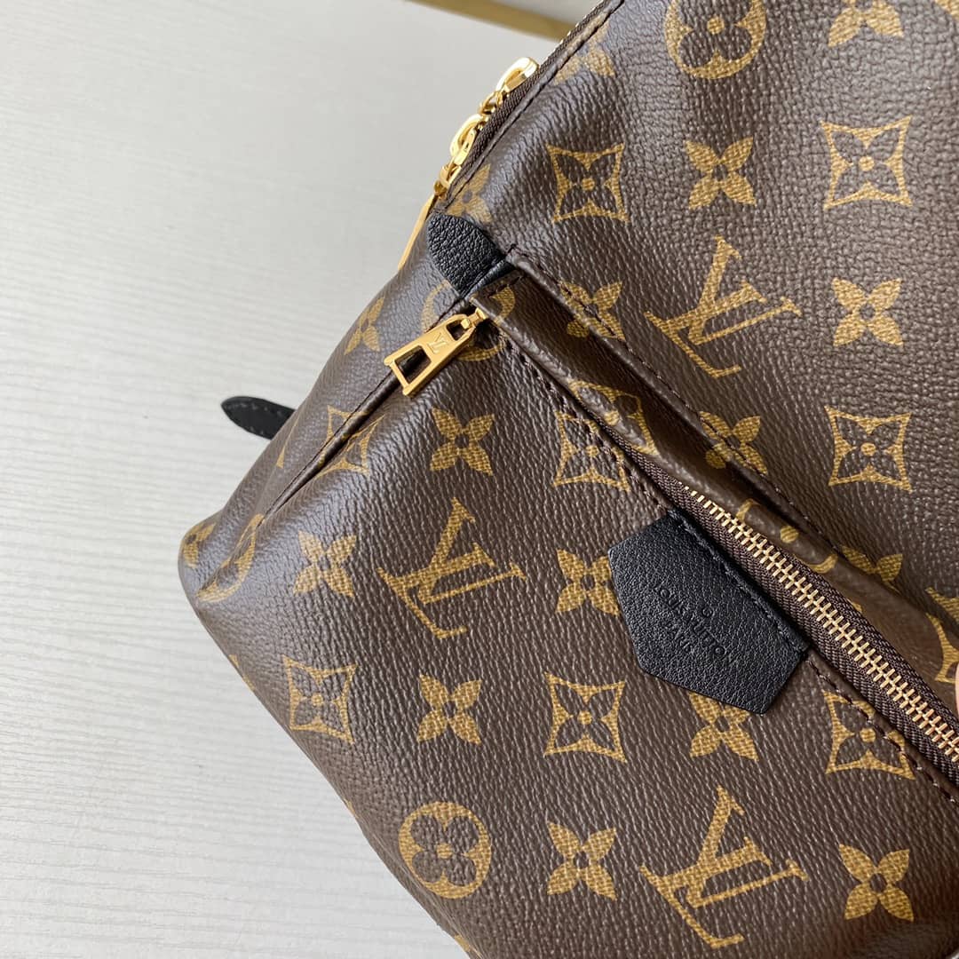 Louis Vuitton Monogram Palm Springs PM Replica Backpack M41560