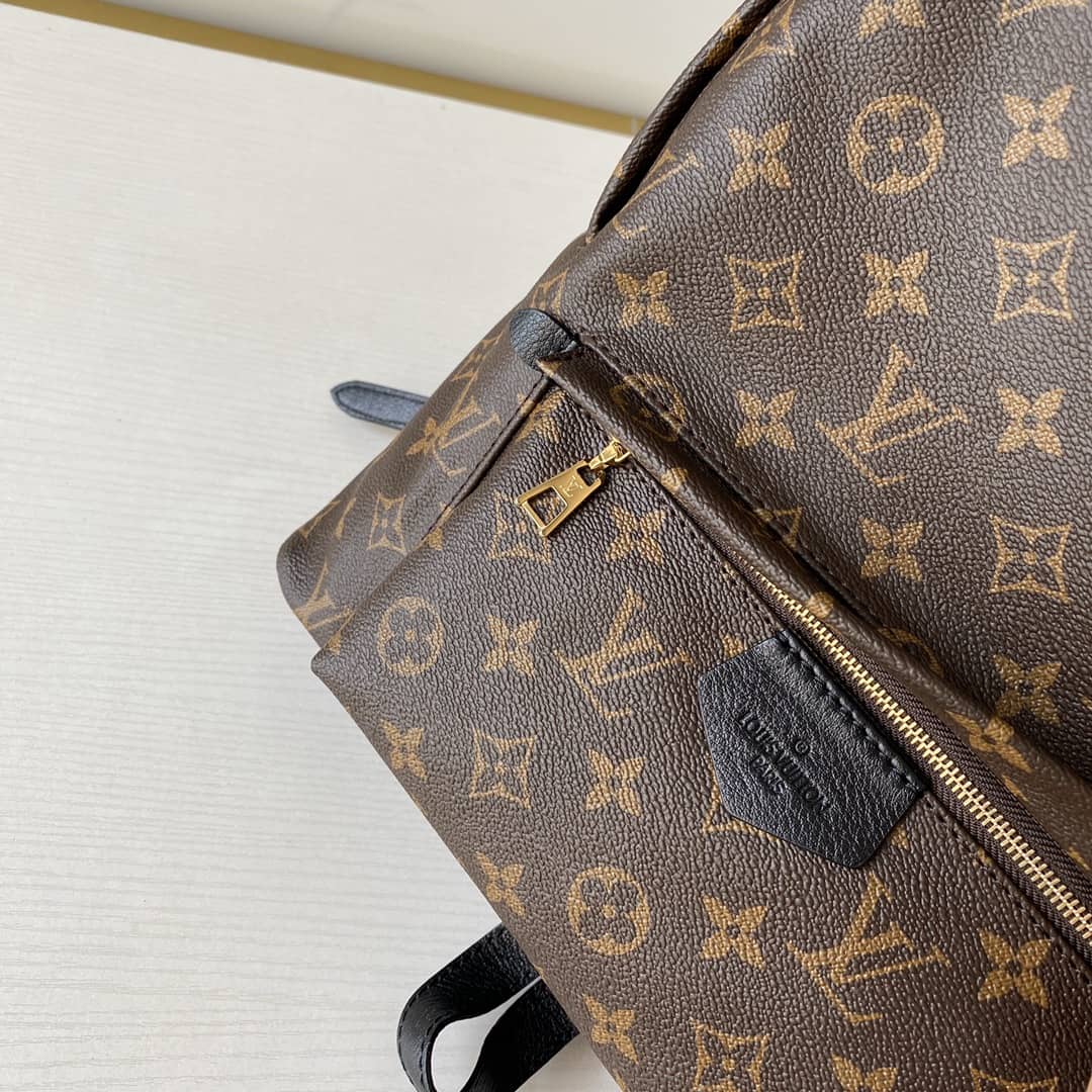 Louis Vuitton Monogram Canvas Palm Springs Replica Backpack MM M41561