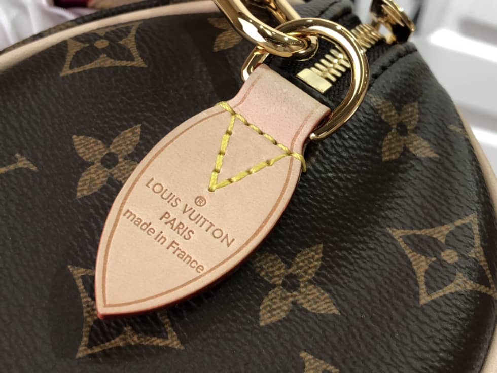 Louis Vuitton Crossbody Dupe Monogram Canvas Speedy 20 Red M45957